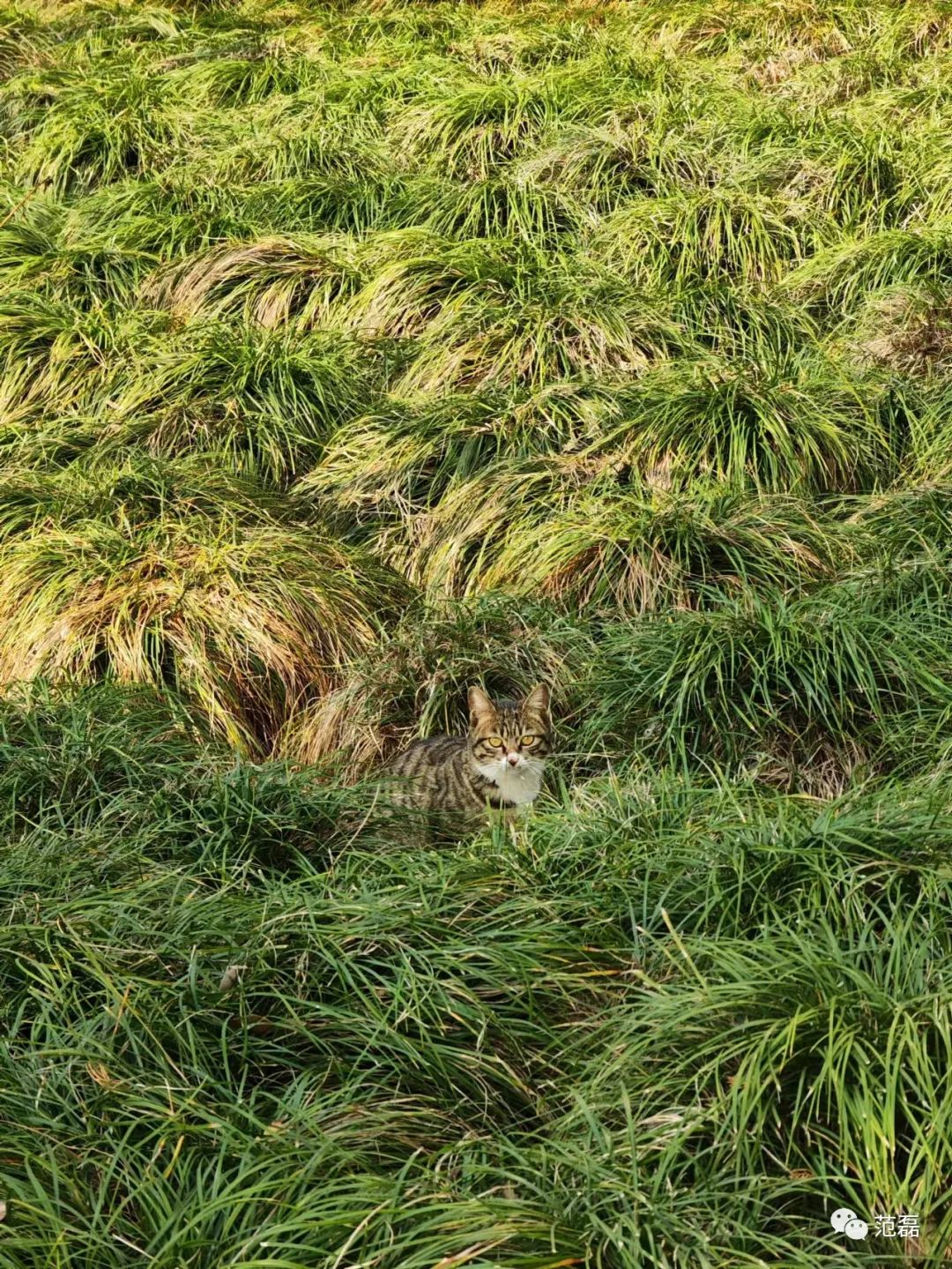 新手单反相机购买怎么不被坑,新手小白单反相机避坑