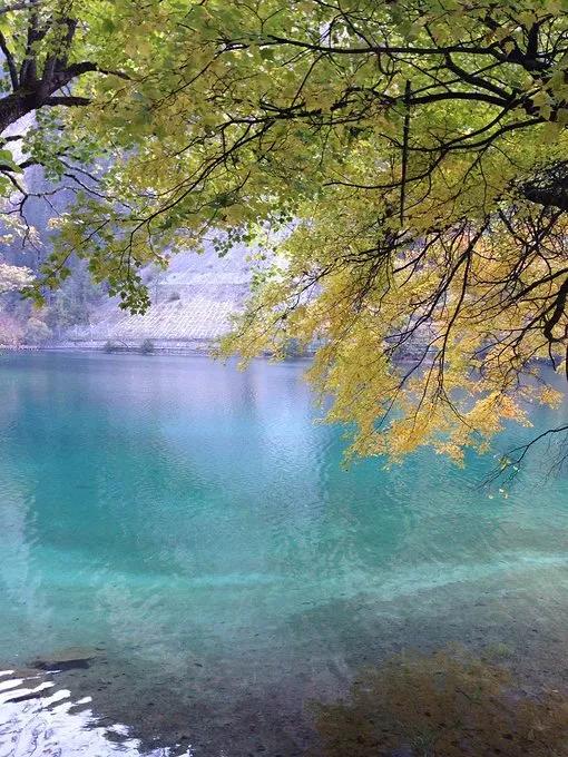 人间仙境九寨沟图片,人间仙境九寨风景图片