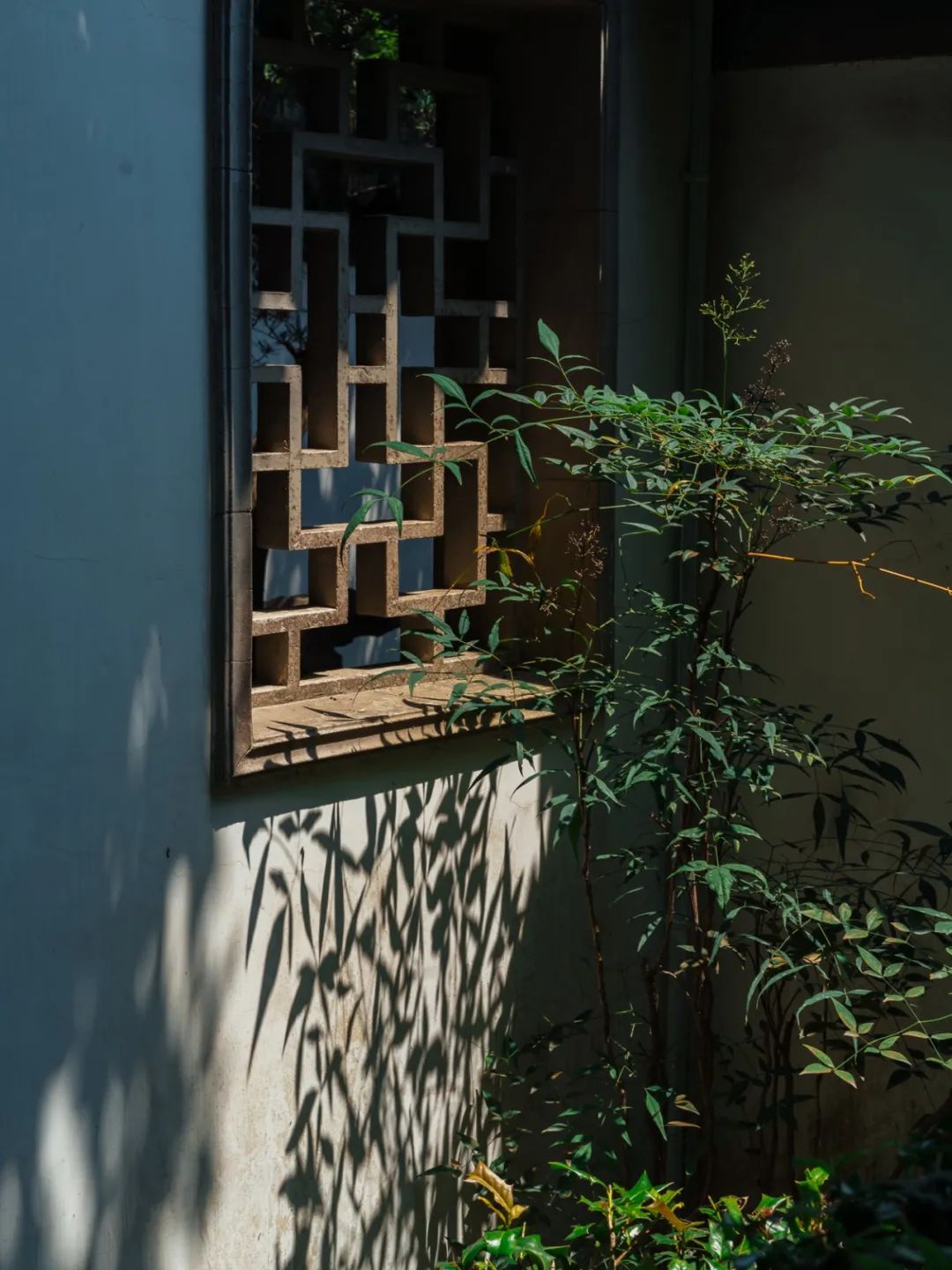 520年一遇，2022上海最浪漫打卡地出炉