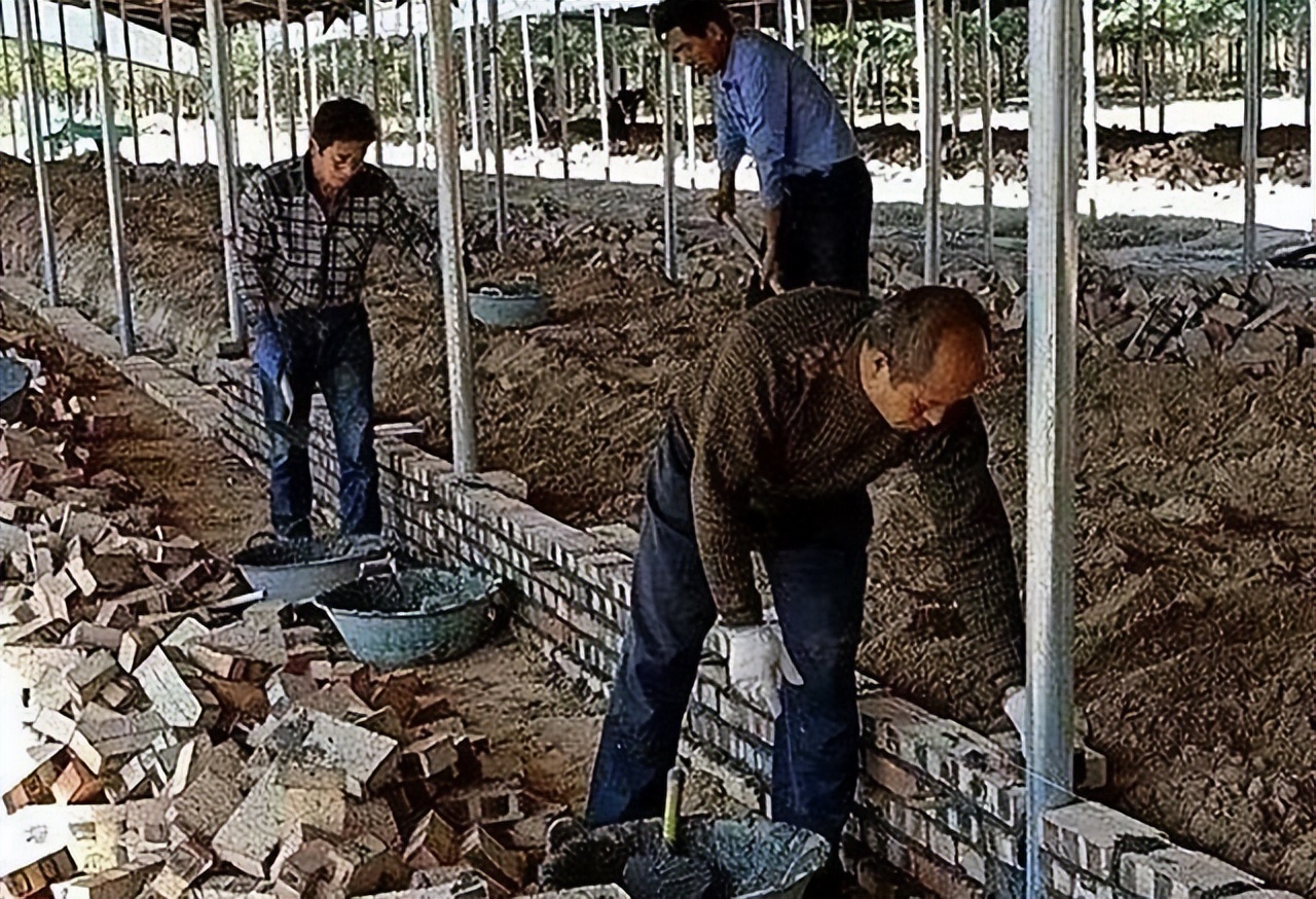 24岁男孩去世捐献器官救4人,20岁大学生去世捐献器官救7人