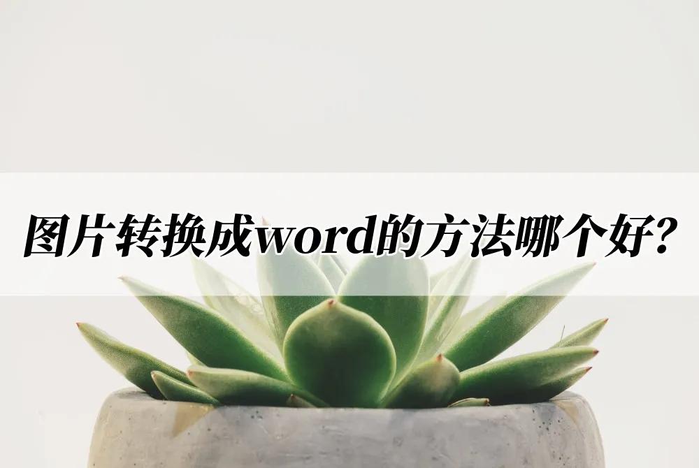 如何把图片表格转换为word表格,免费图片转换word