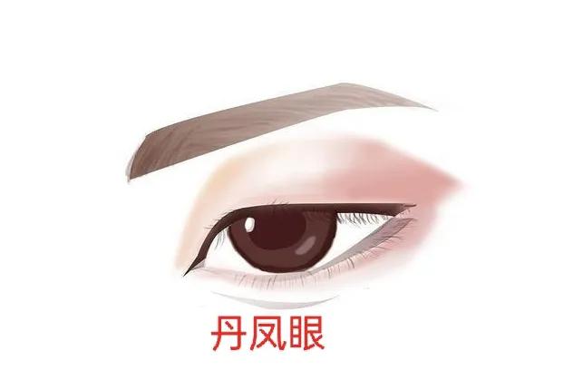 男人常见的眼型测试,常见好看的眼型