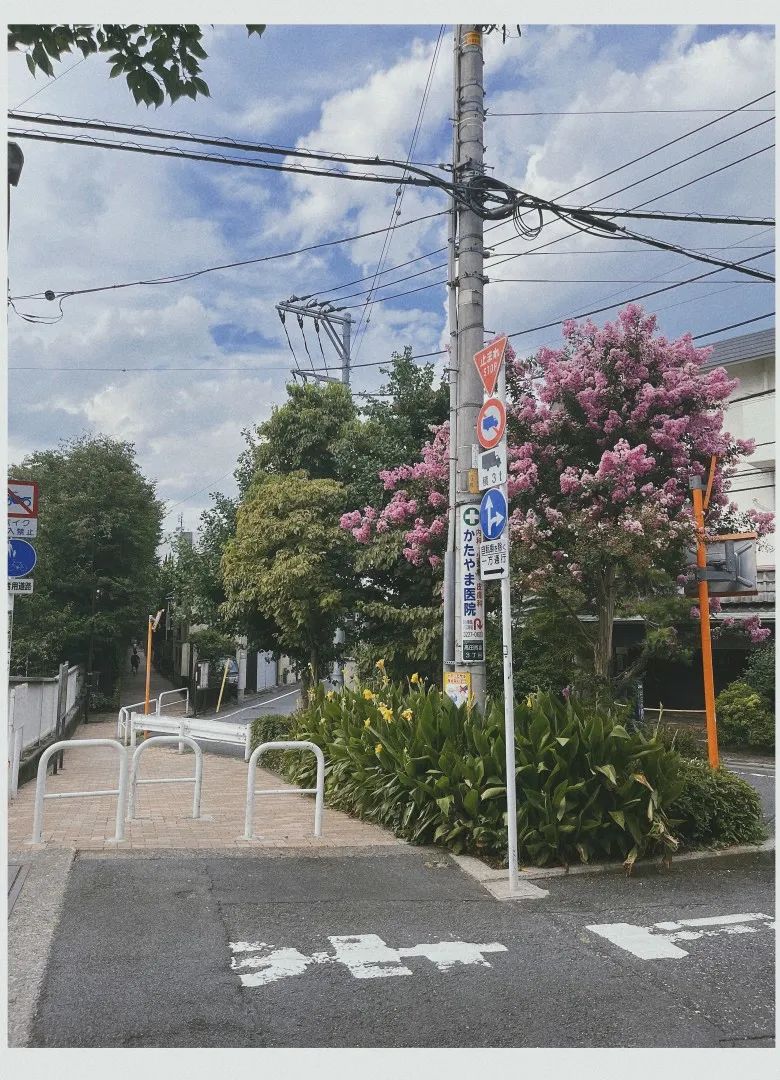 家具日常用品,家具置办必备