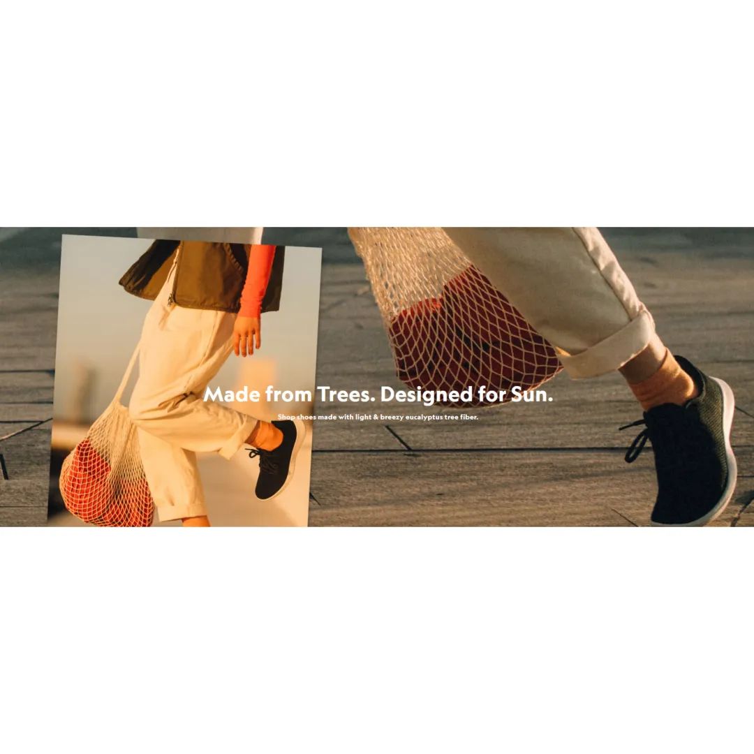 品牌市值逾41亿美元——深入剖析AllbirdsSEO和广告的过人之处