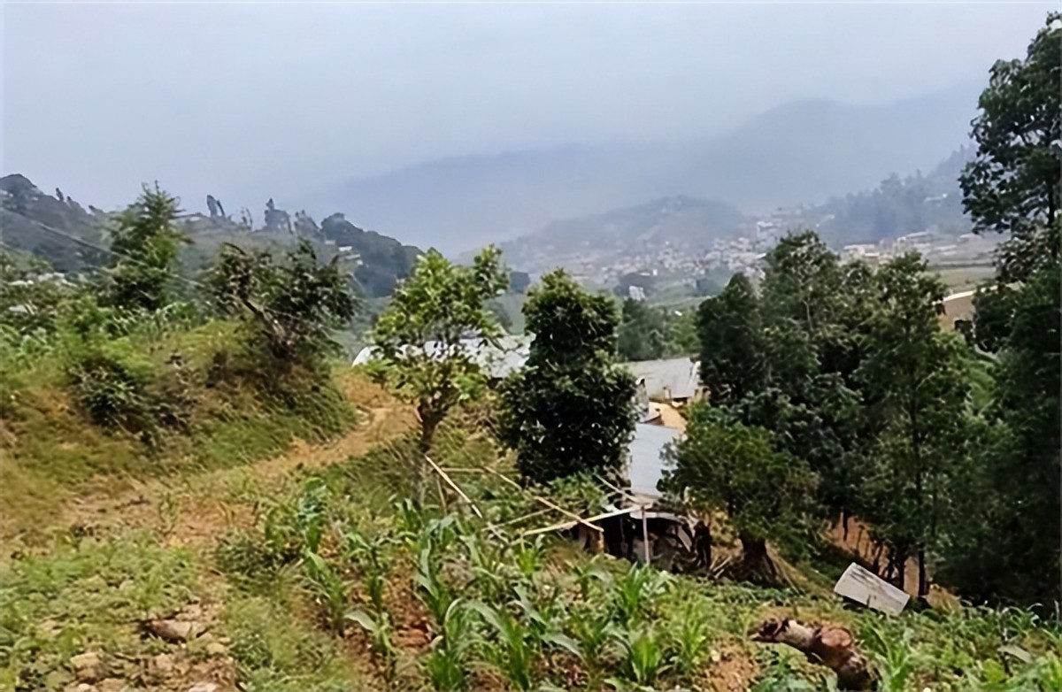 尼泊尔美女嫁江西,尼泊尔美女想嫁给中国人