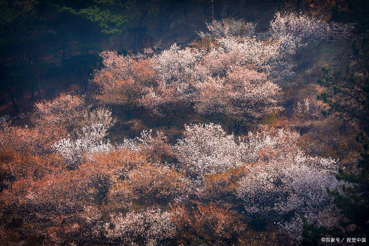 吐槽青岛坑人景区,被游客吐槽的景点其实应该这样玩