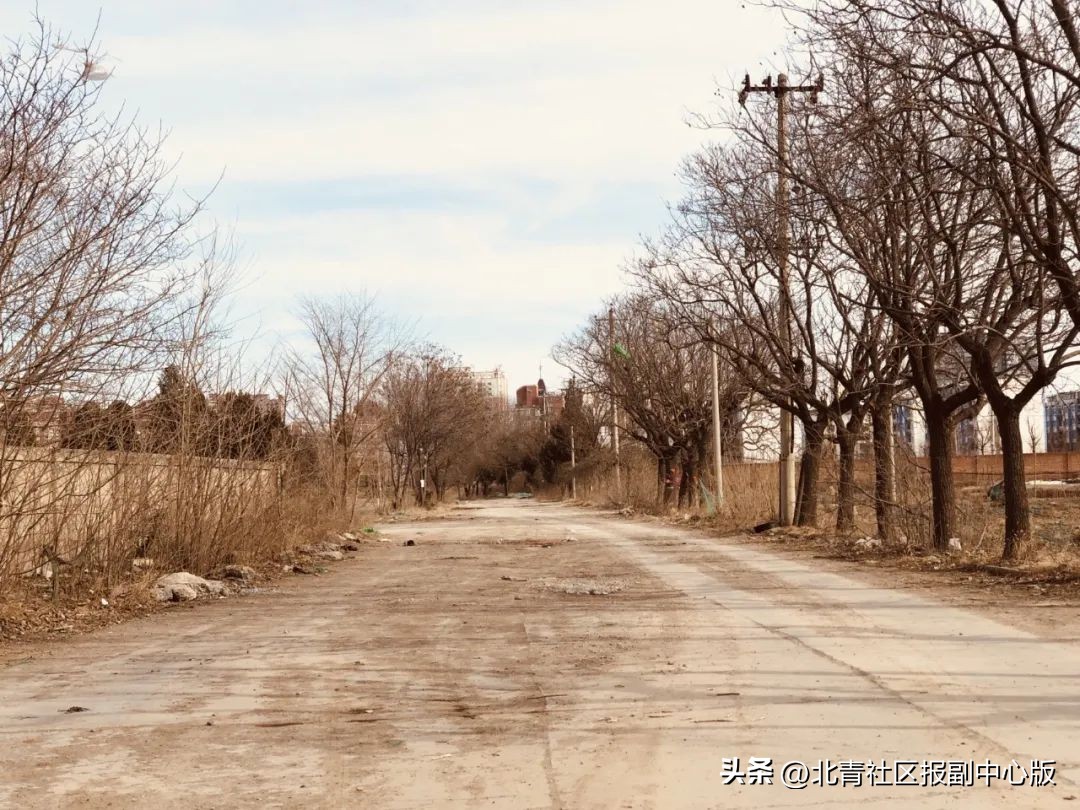 38年老字号美食探店通州,寻味通州运河美食