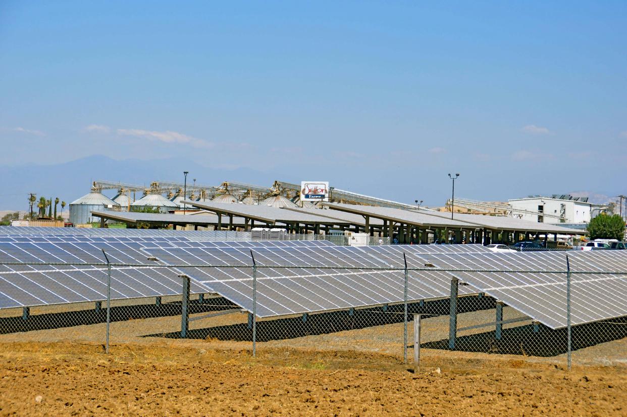 开心果果酱怎么吃,开心果怎么做又酥脆又好吃