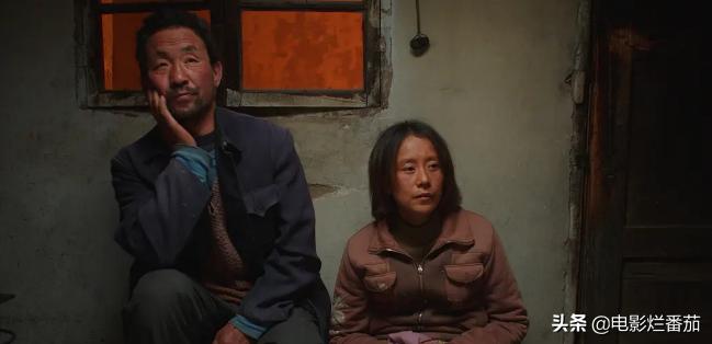 海清2022新剧,海清十部必看电影