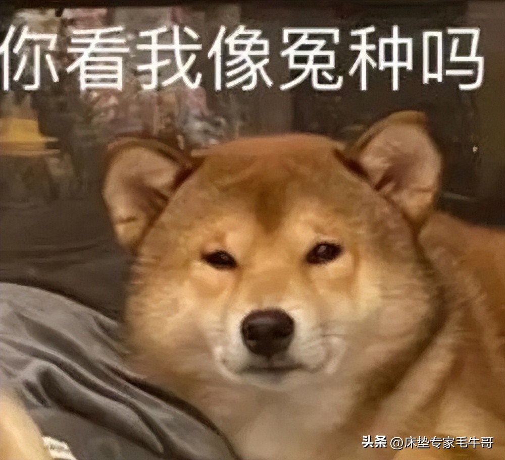 居然之家哪个品牌的床垫好,盘点各品牌最值得入手的床垫