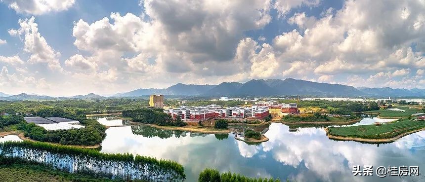 临桂哪个板块潜力最大,临桂区分为几个板块