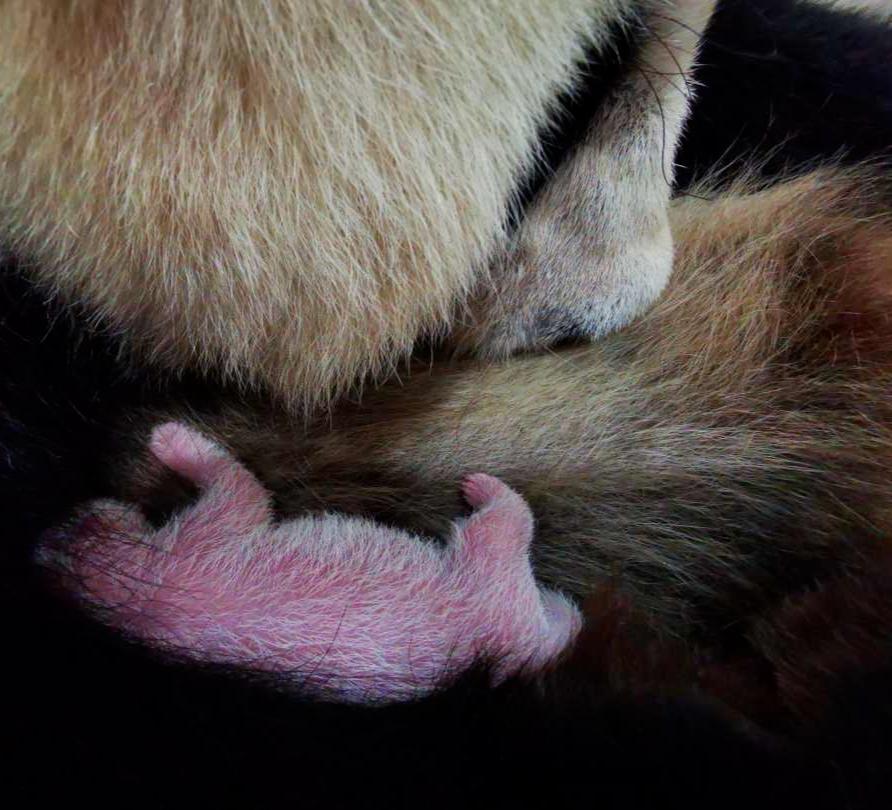 8月18日·上海要闻及抗击肺炎快报