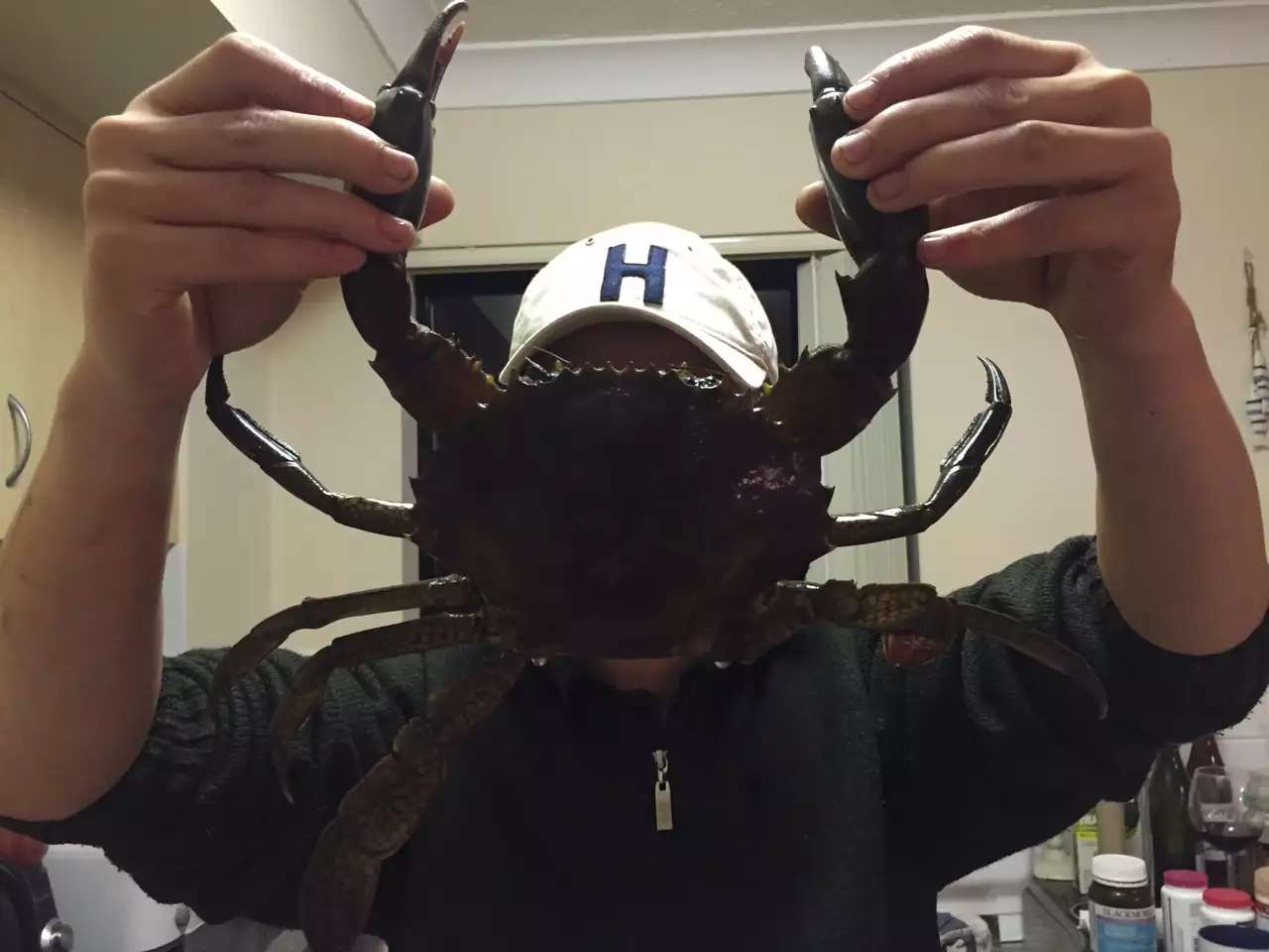 澳洲黄金海岸纪录片,澳洲黄金海岸游玩体验