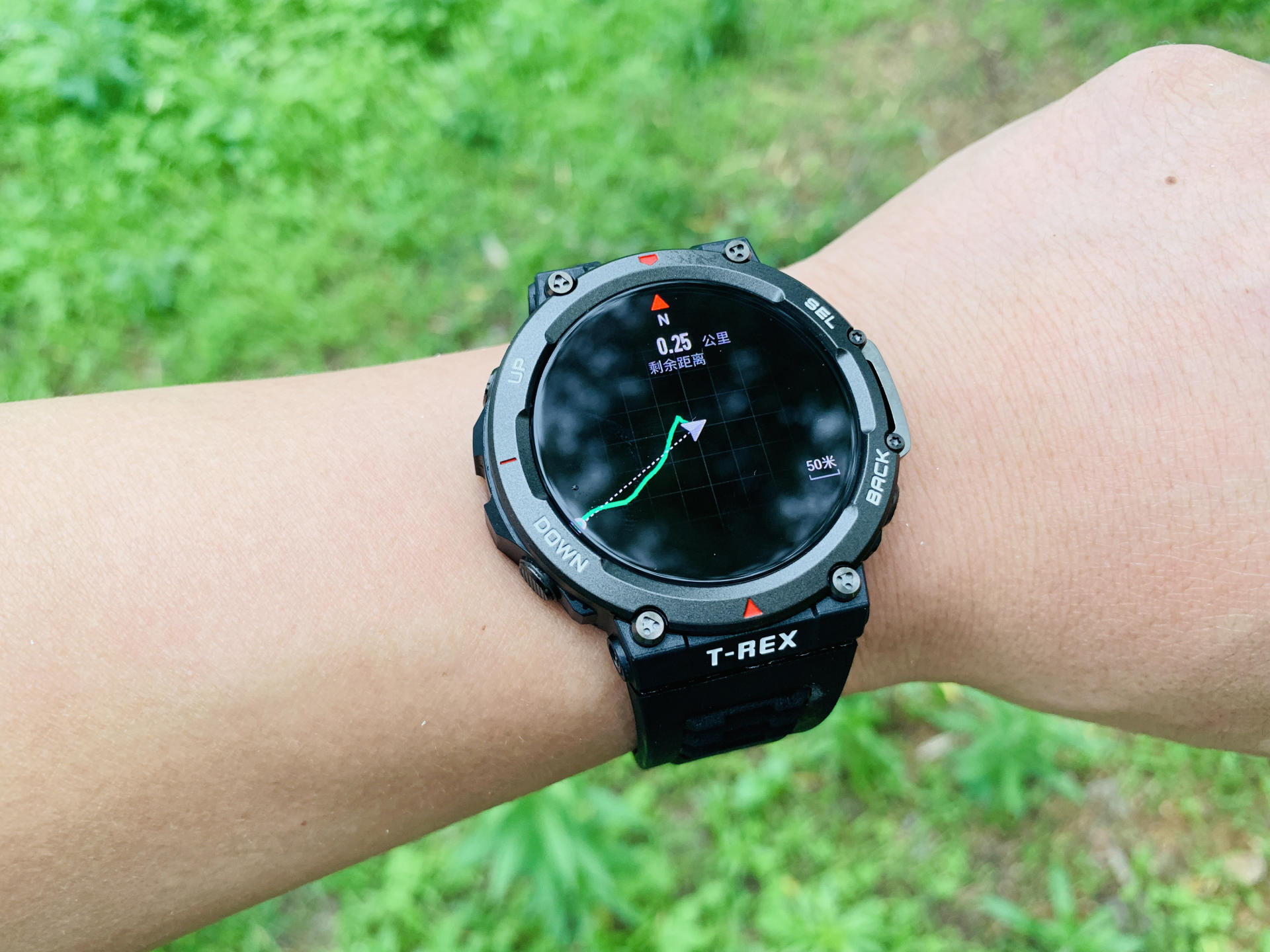 卡西欧手表测评中国龙白,卡西欧独角兽系列的手表测评