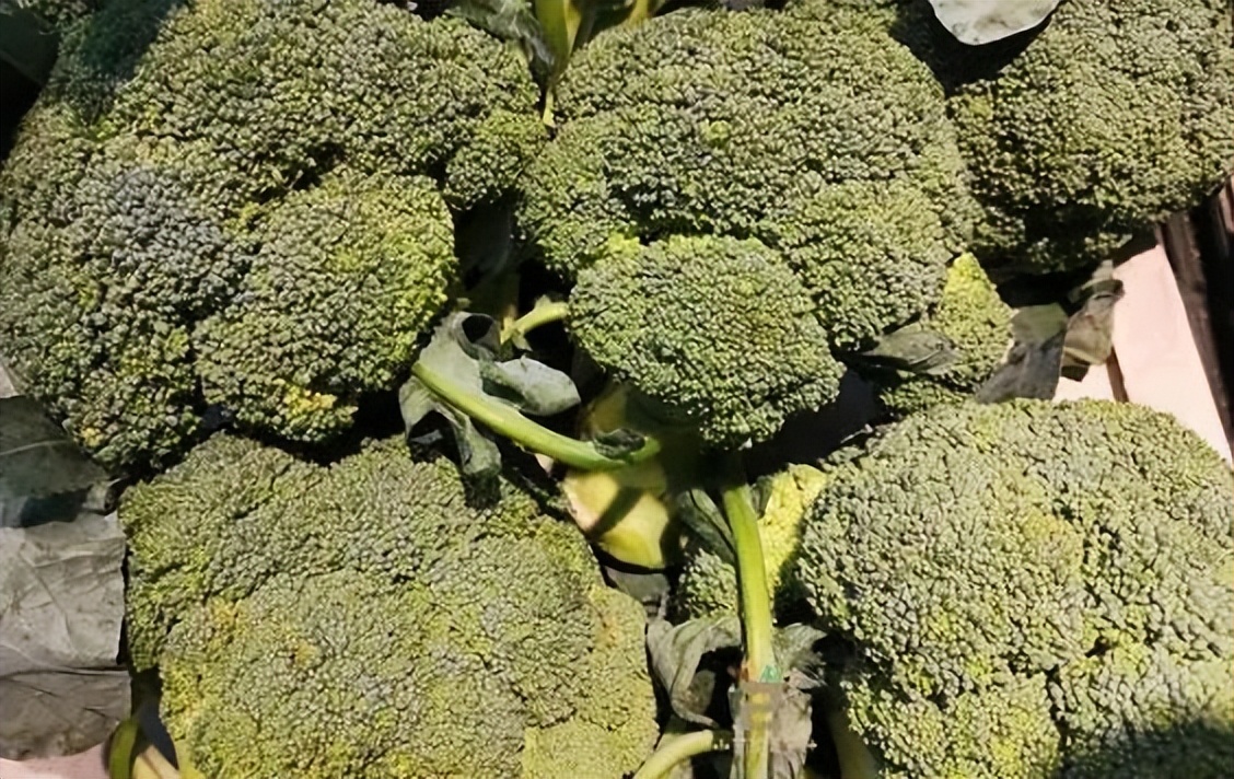 市场买西兰花,去菜市场买西兰花