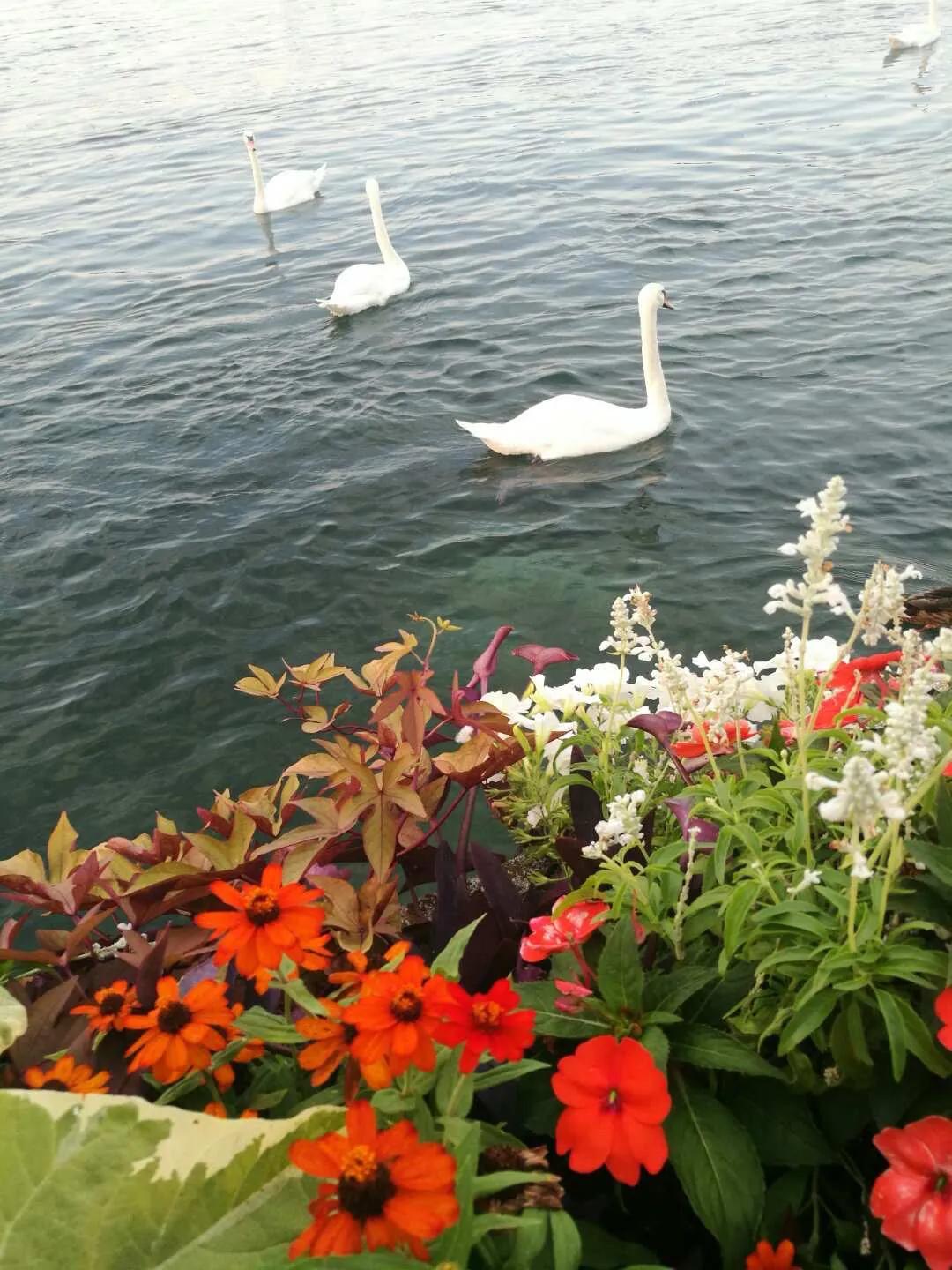 欧洲自由行慕尼黑,欧洲旅游自由行机票