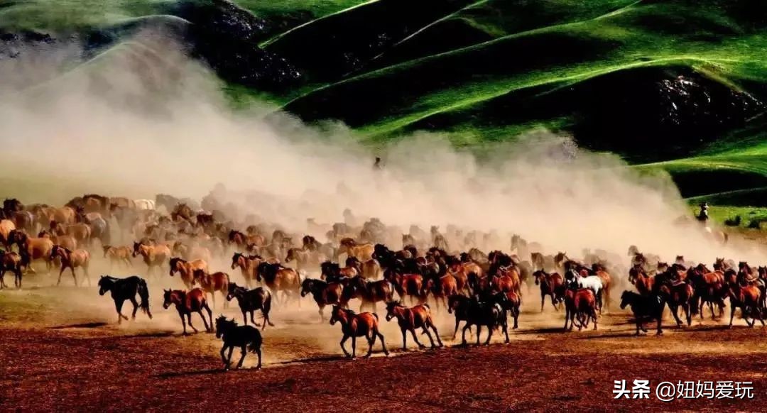 带你真切看人间的宝藏纪录片top10,十一长假适合带孩子看的纪录片