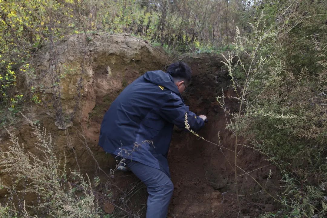 考生榜样：用手铲“发掘”文化千年浪漫的王一凡同学