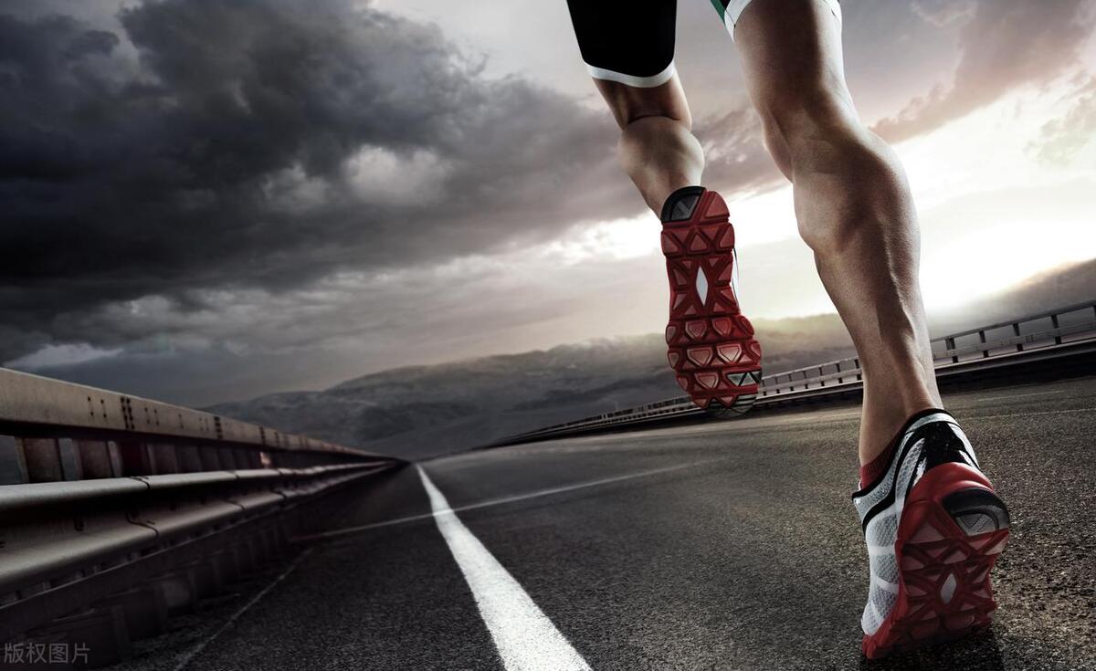 本科院校体育教育学专业排名,大学体育教育专业排行榜