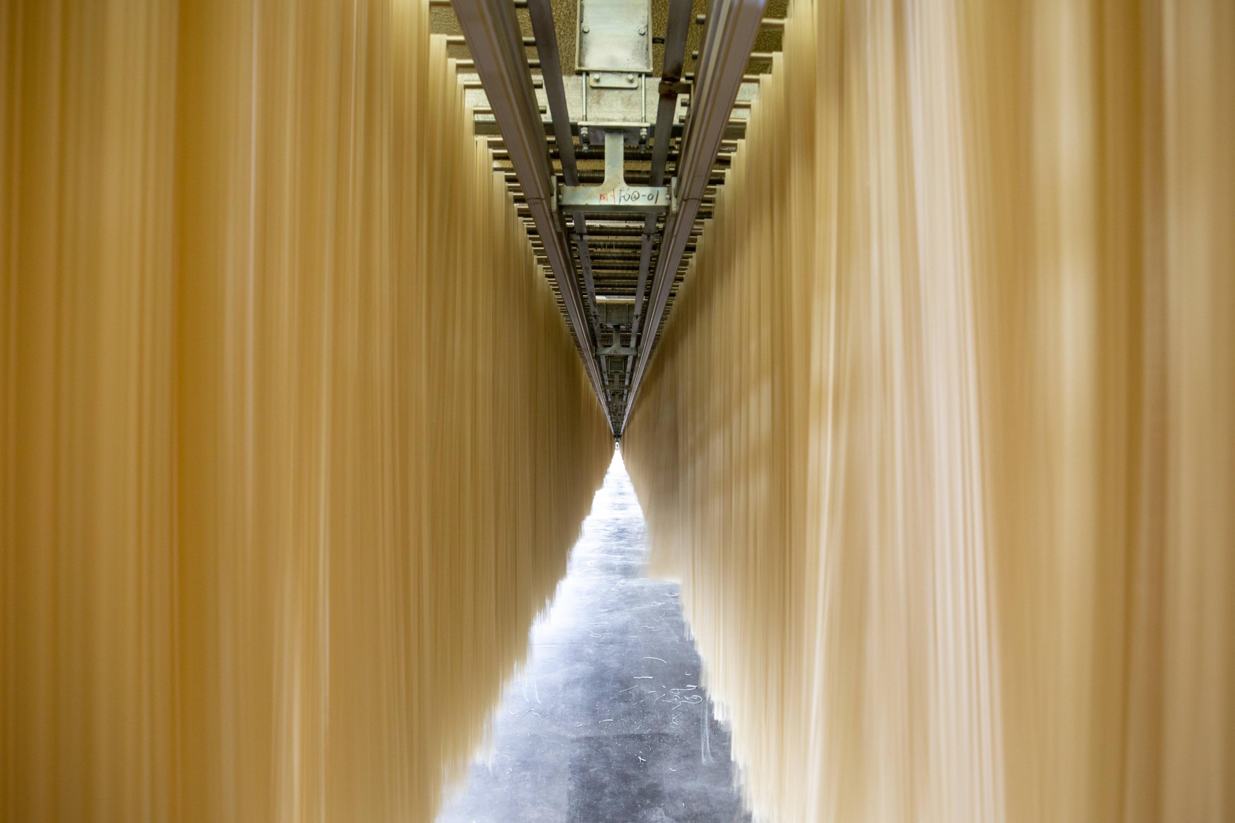 年产27万吨！今麦郎智能化挂面高速生产线项目正式投产……