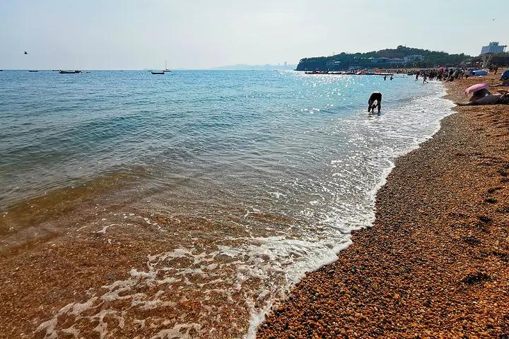 大连旅游攻略3天2夜住宿,大连旅游攻略视频