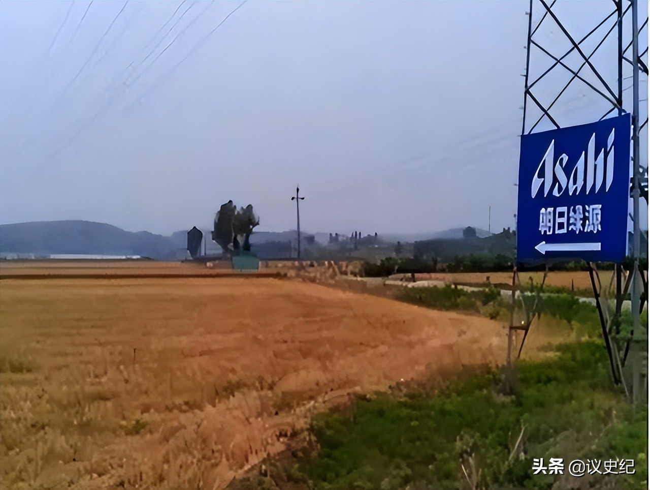 日本人租地闲置五年,日本人租1500亩地闲置