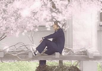 泷泽秀明霸道总裁电视剧,樱花树下的少年泷泽秀明