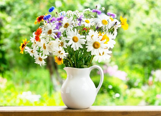 我在有钱人家做保姆经历,我在有钱人家里做保姆