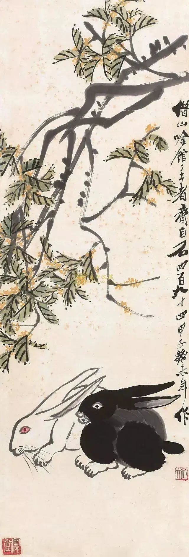 齐白石笔下富贵的牡丹,齐白石写意兔子