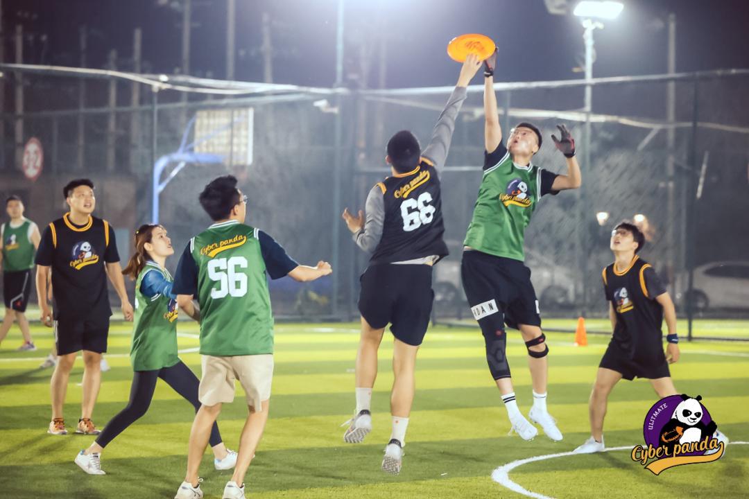 “黑红”的飞盘，商业化的前夜