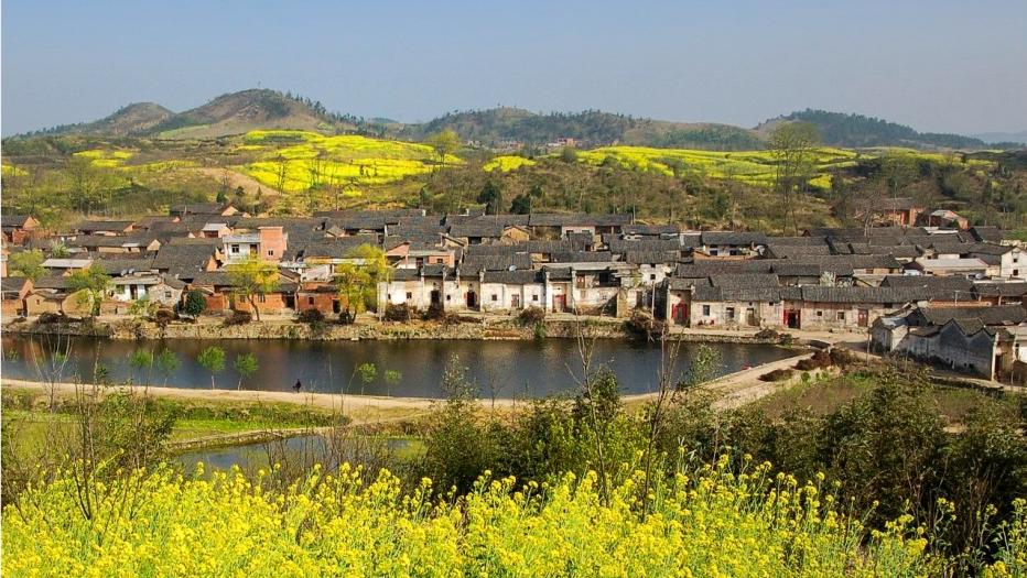 信阳十大旅游乡村,信阳周边乡村旅游景点推荐