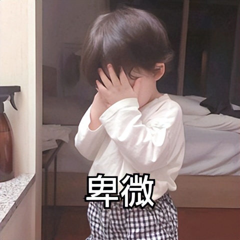 洽洽放假时间,大学生放假通知2030