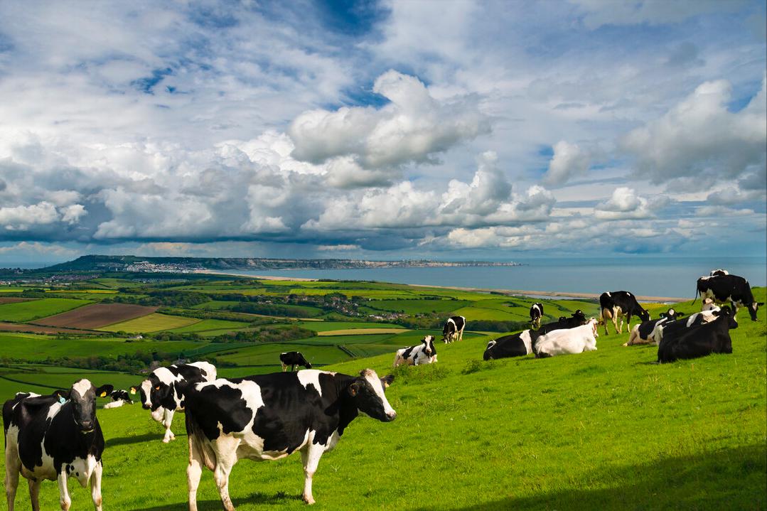 买奶粉不应该选哪些成分,买奶粉和买纯牛奶哪个好