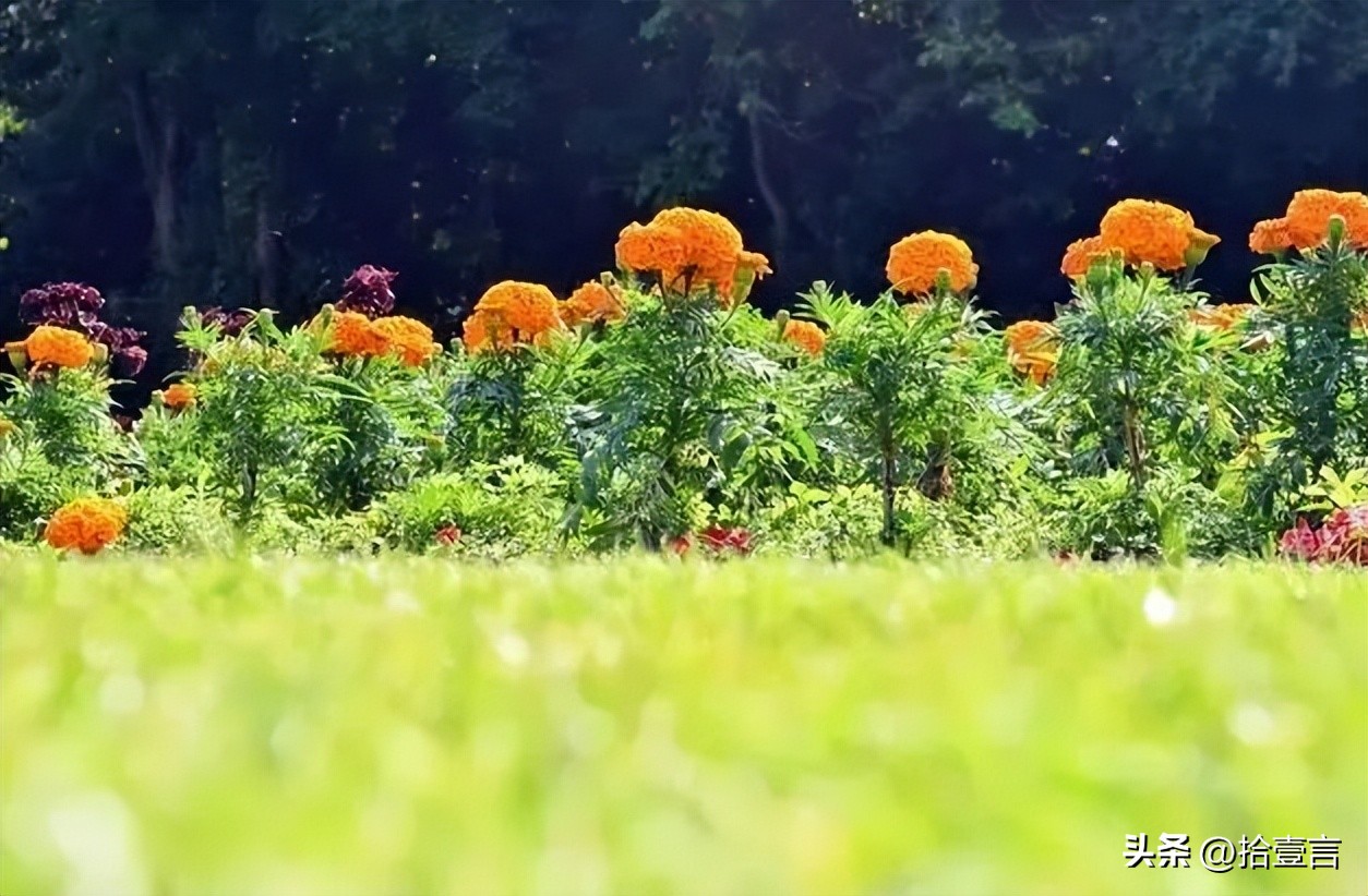 厚积薄发是一种人生的态度,人生就是一个厚积薄发的过程