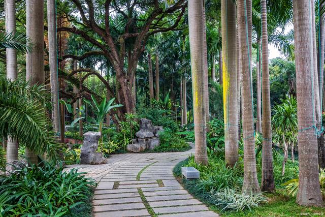 厦门四天旅游攻略适合情侣,厦门旅游跟团四天游