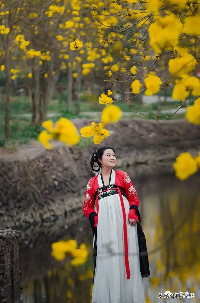 花仙子风铃,风铃花仙子