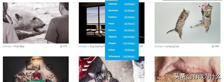 无版权的图片素材网站是真的吗,9大高清无版权图片素材网站推荐