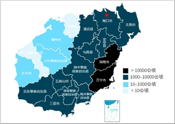 海南的支柱产业槟榔,海南槟榔产业总值
