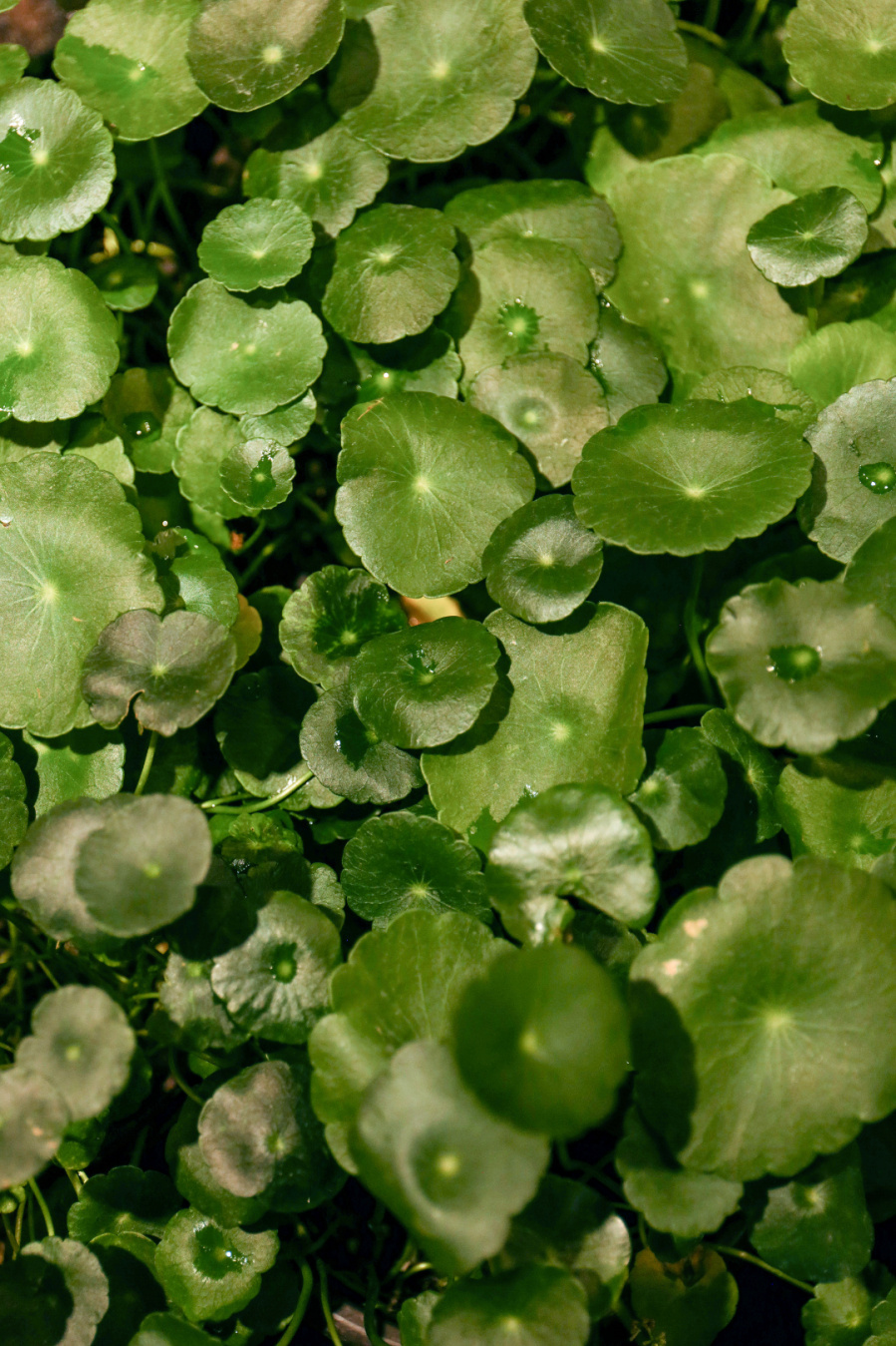 【工会图书网】“五小”活动体系系列推荐图书（一）