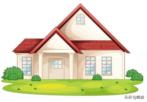 中国房子断供率,房子断供被拍卖