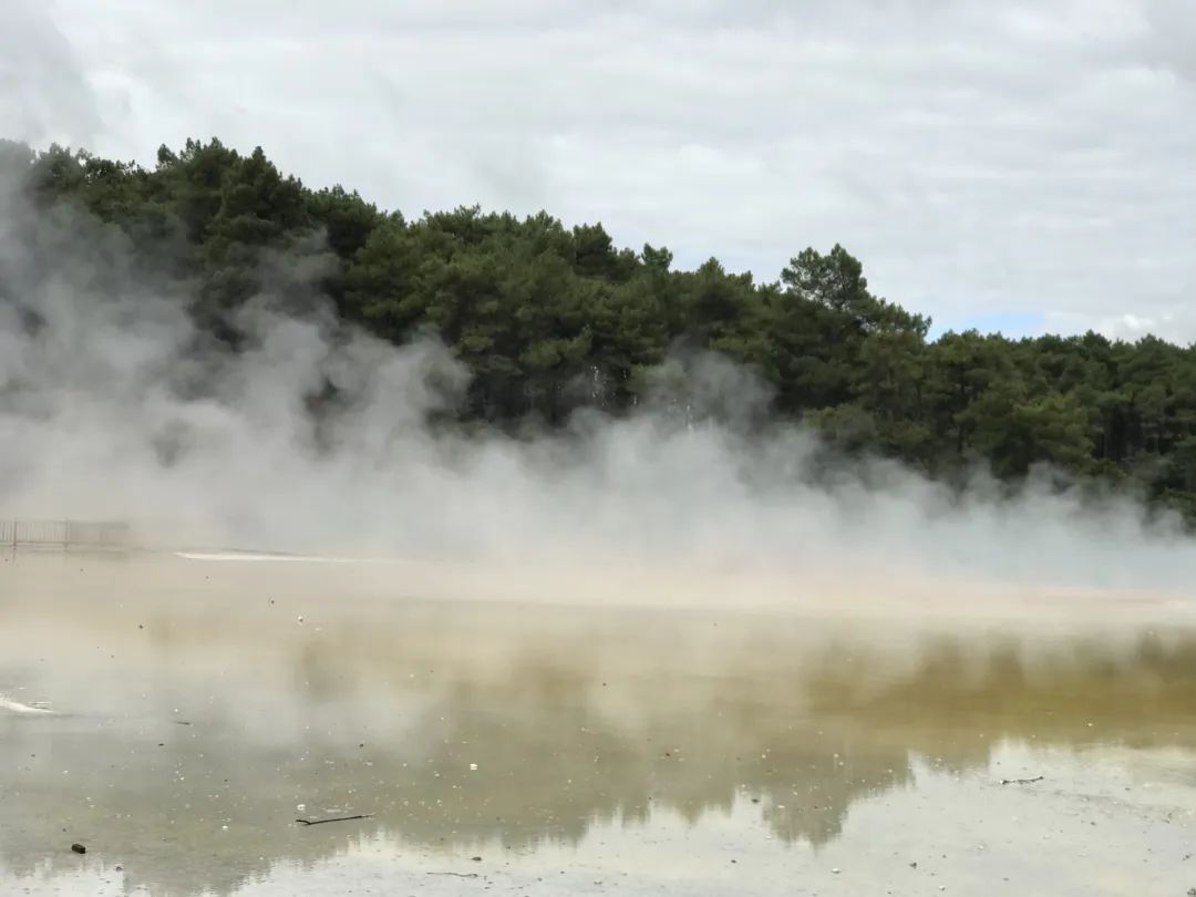 写给不被疫情束缚的心:用文字“云”游新西兰全境