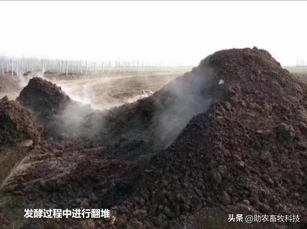 粪类肥料,复合肥鸡粪肥