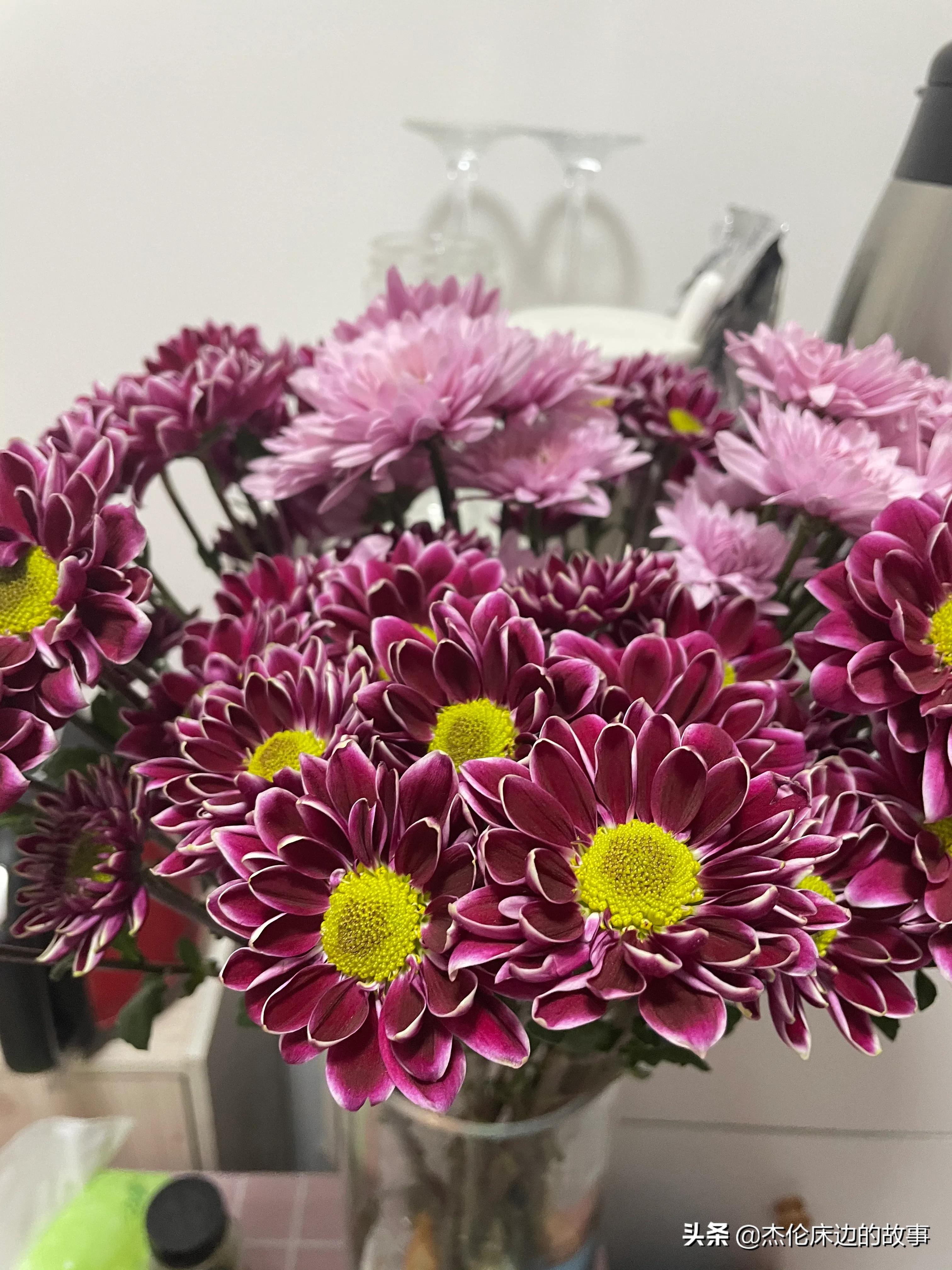 网上鲜切花怎么养护,最耐养的鲜切花