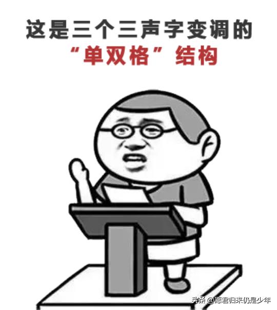 张雨绮的名字解读,张雨绮百科内容