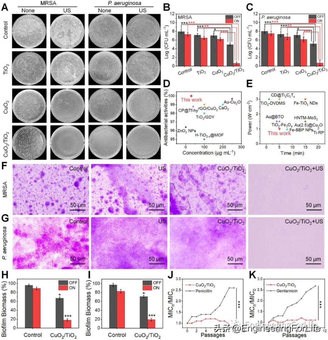 《ActaBiomater.》:超声激活微针用于声温抗菌治疗