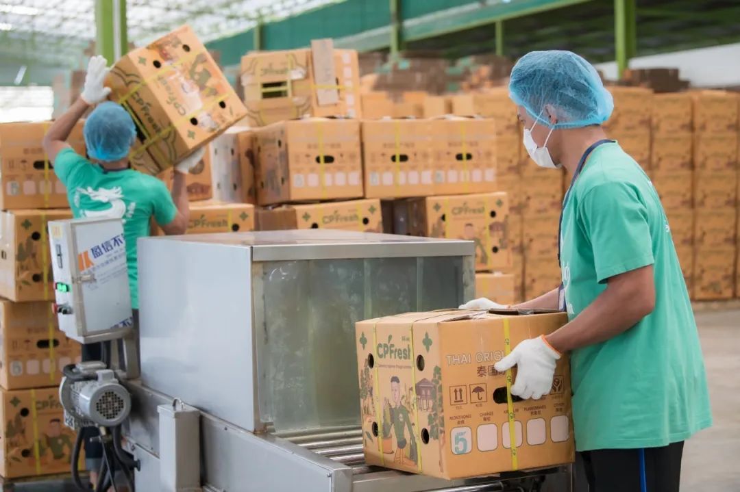 中国驻泰国大使韩志强考察正大集团CPFresh在泰重要水果合作伙伴