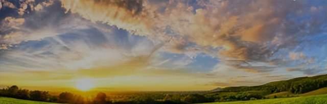 泰国首富最新投资消息,正大股份正式冲击a股ipo