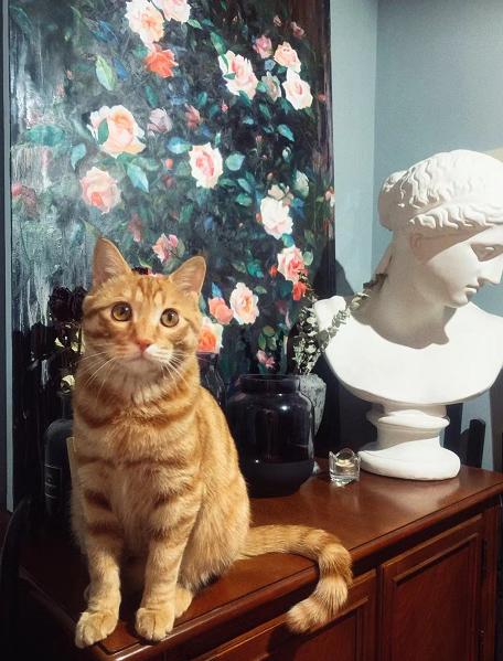 12年过去了，“宁坐宝马哭，不坐单车笑”的女孩，嫁入豪门了吗？