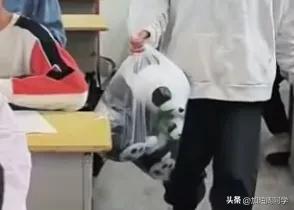 小女孩学校发生的事,关于小女孩在学校发生的事