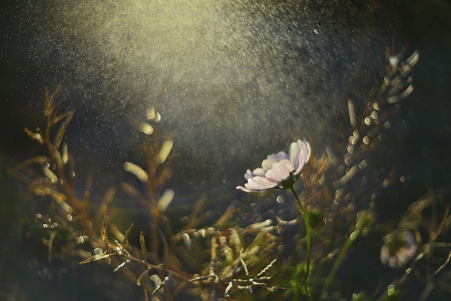 大自然的美景秋天摄影照片,美丽的大自然春夏秋冬图片大全